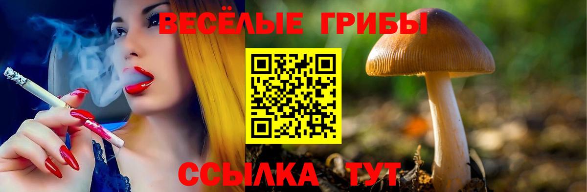 Галлюциногенные грибы мицелий Долгопрудный