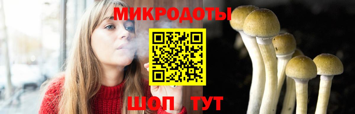Галлюциногенные грибы Magic Shrooms  Вход с VPN  Долгопрудный 